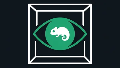 Spot the Chameleon vision quiz